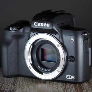 Meet your Posher, Willard